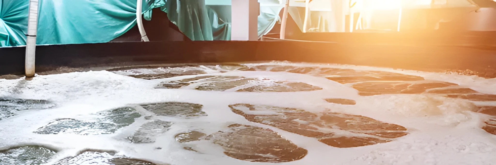 4 Keunggulan Sistem UV pada Budidaya Udang