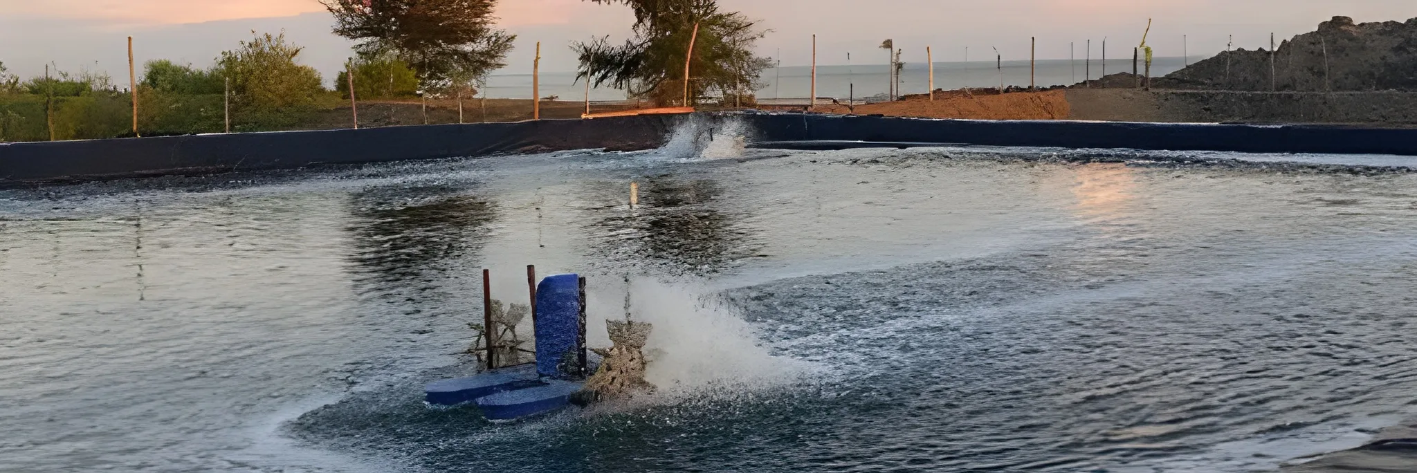 Pentingnya Water Treatment Udang dan Rekomendasi Produknya