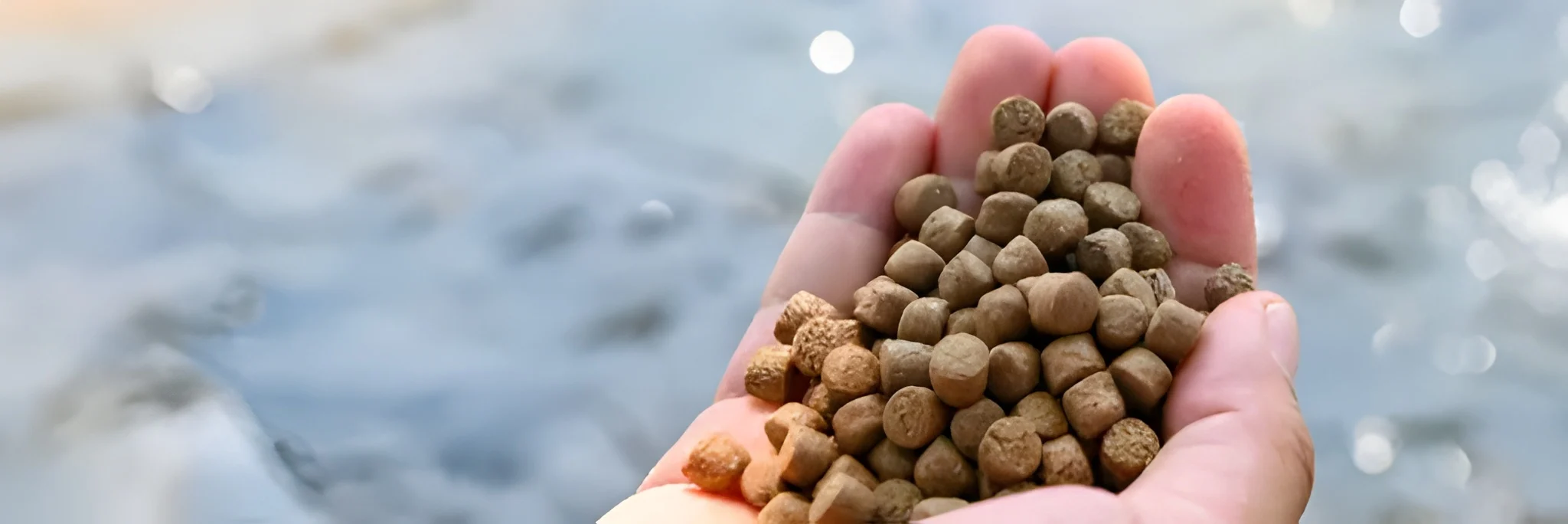 Pakan Ikan Bandeng Terbaik, Budidaya Efektif dan Ikan Tumbuh Optimal