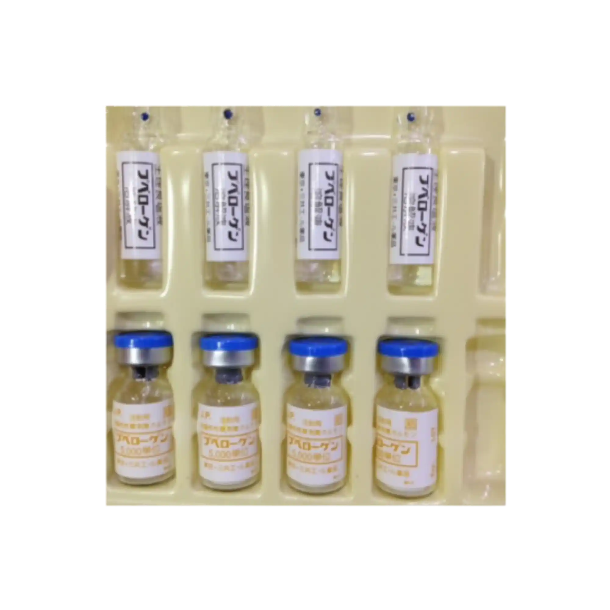 Hormon hGH Puberogen 5000 U.I 10000U.I