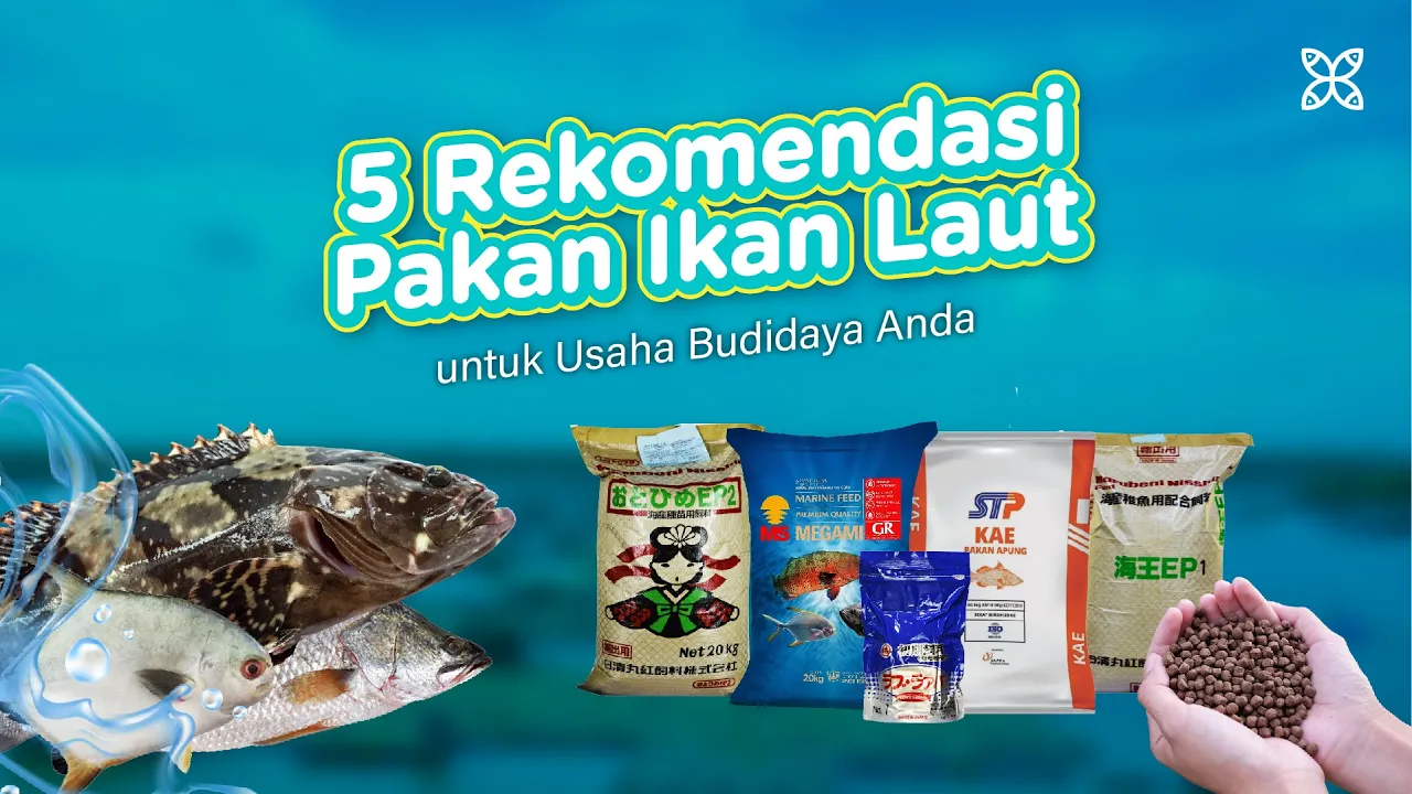 5 Rekomendasi Pakan Ikan Laut Terbaik