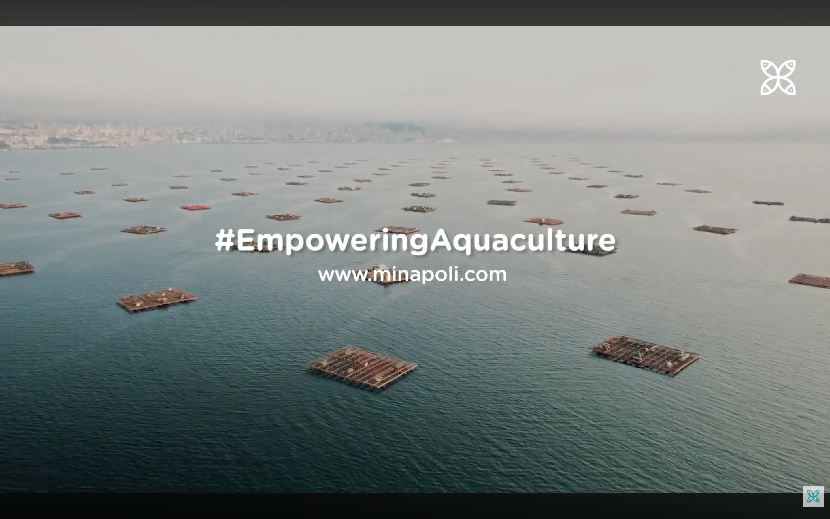 Minapoli, Partner Andalan di Industri Akuakultur